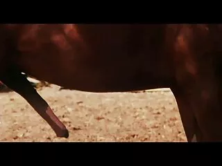 Indice et hindi sexy indien vidéo nudité en public puis il